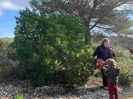 sortie nature begude 25-02-26