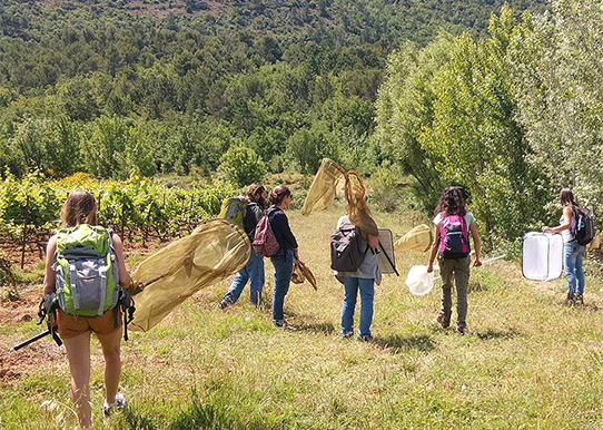 Inventaire (c) LPO PACA