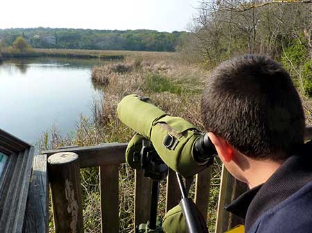 Observation ornithologique - LPO PACA