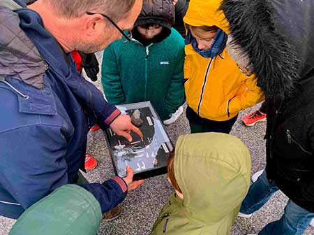 rapaces nocturnes de Toulon