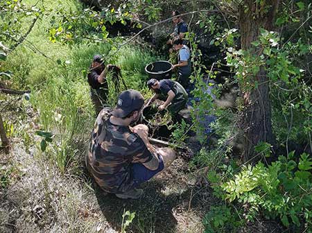 Aigle de Bonelli en volière de réhabilitation ©Rosie Jackson