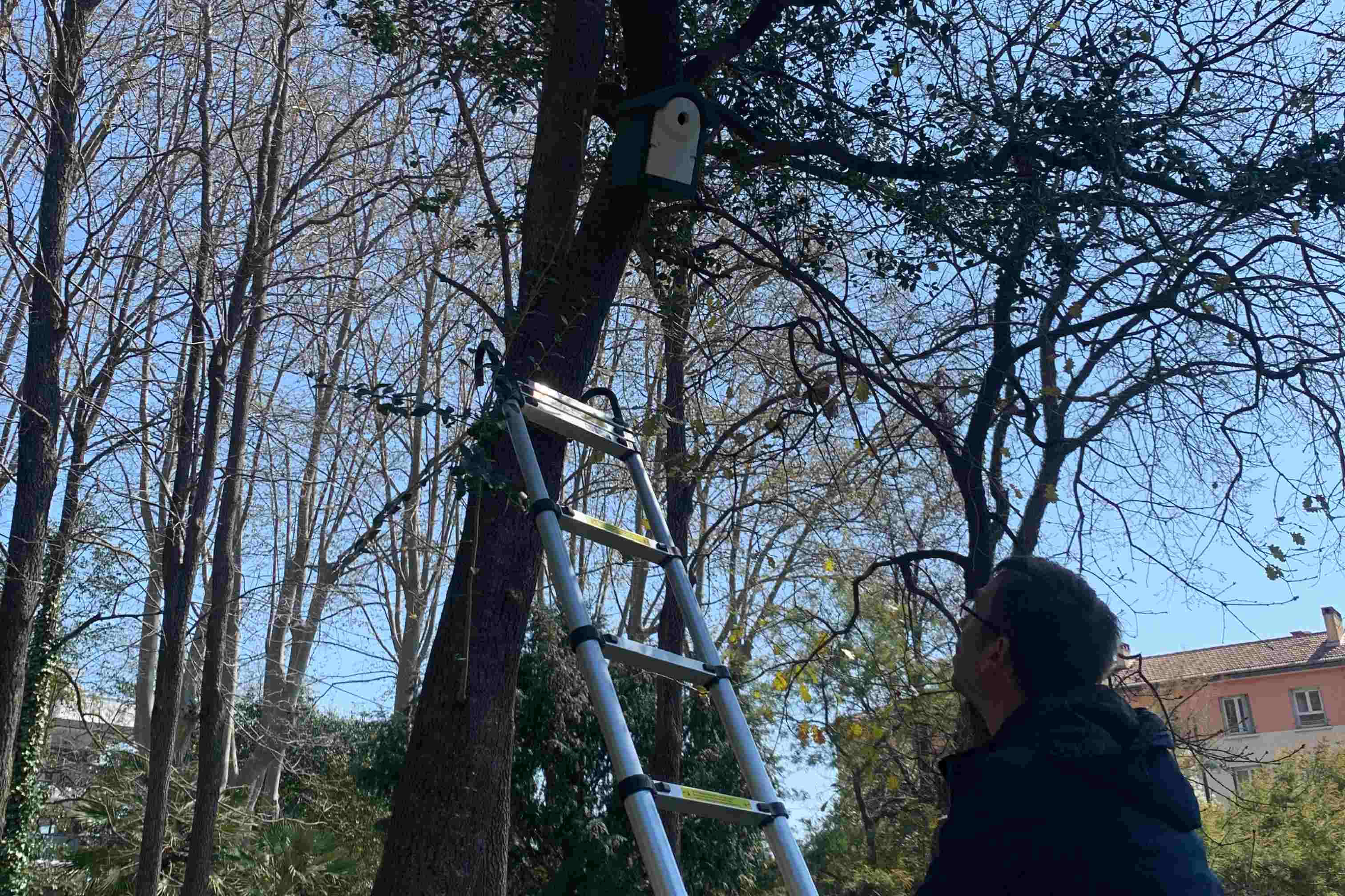 nichoir à mésange, Villa Jeanne