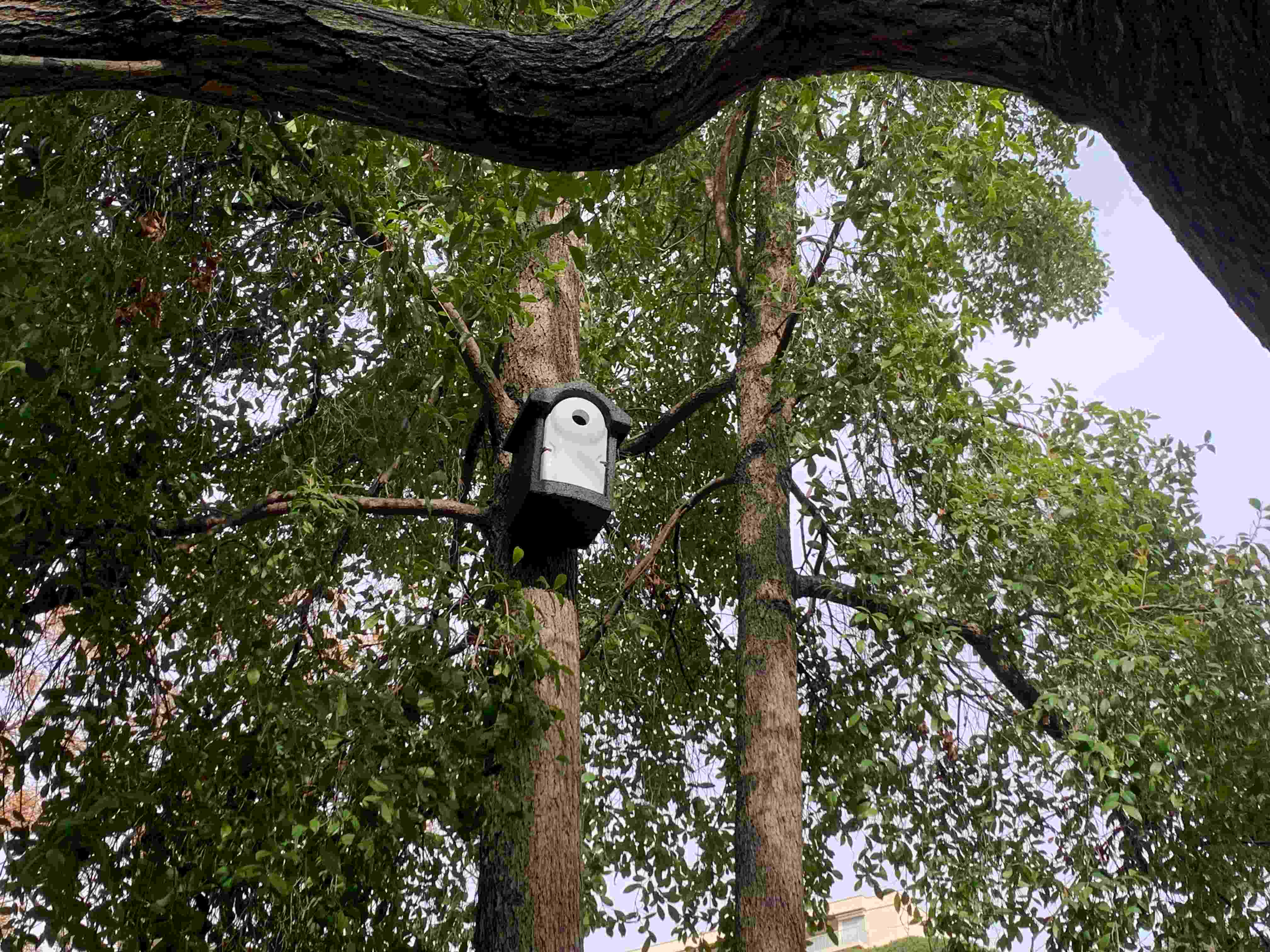 nichoir beton de bois mesange