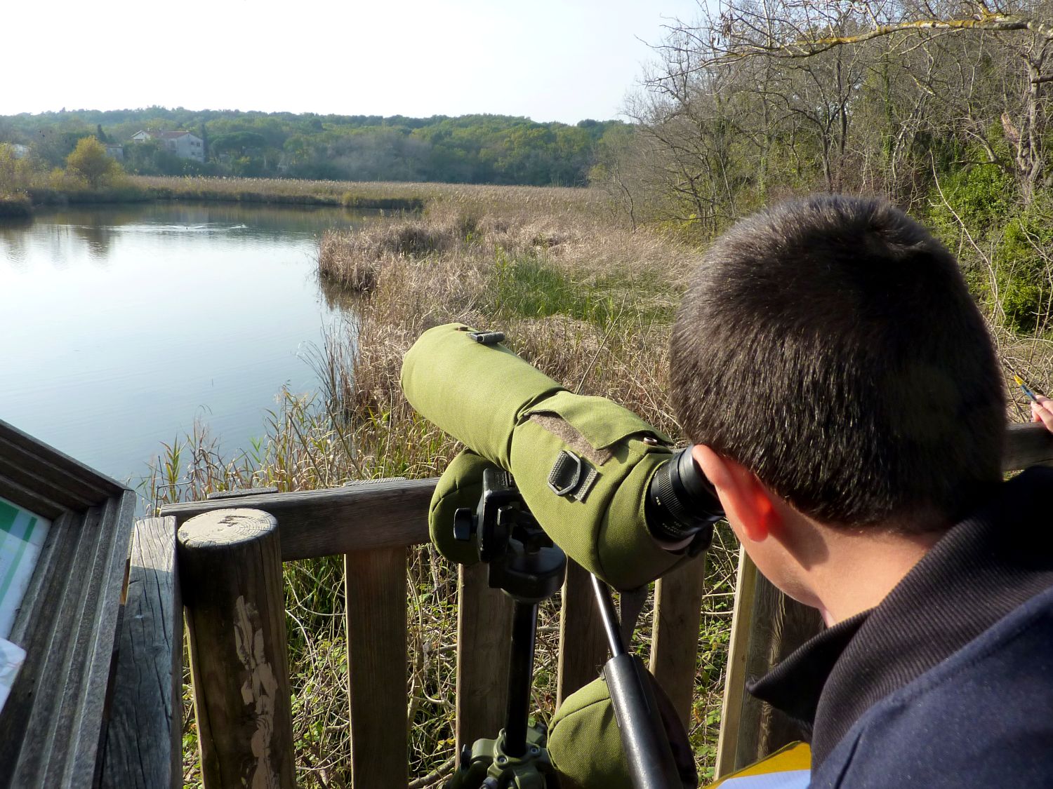 Observation ornithologique - LPO PACA