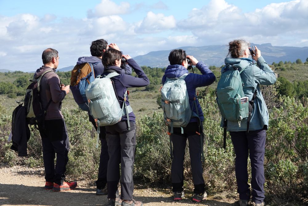 Observations naturalistes © Anaëlle Francia