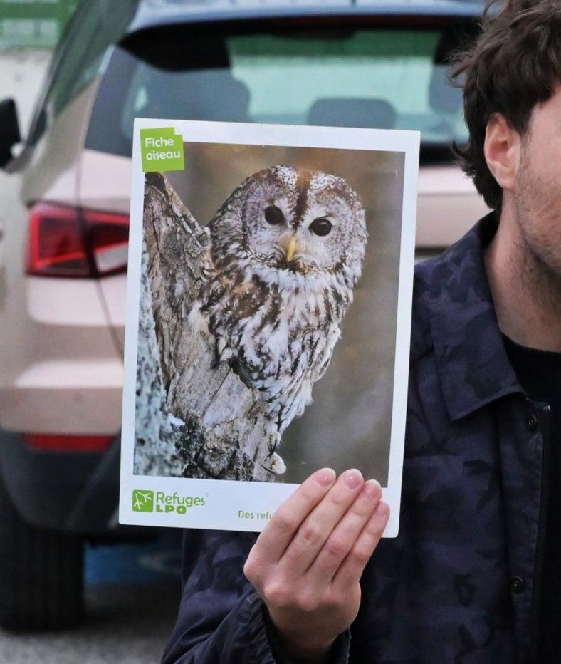 sortie nature avec lpo 2026 5919