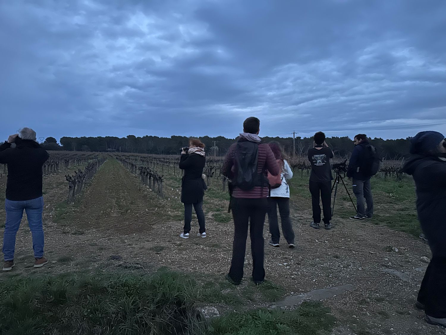 Sortie nocturne Lambesc © Anaëlle Francia