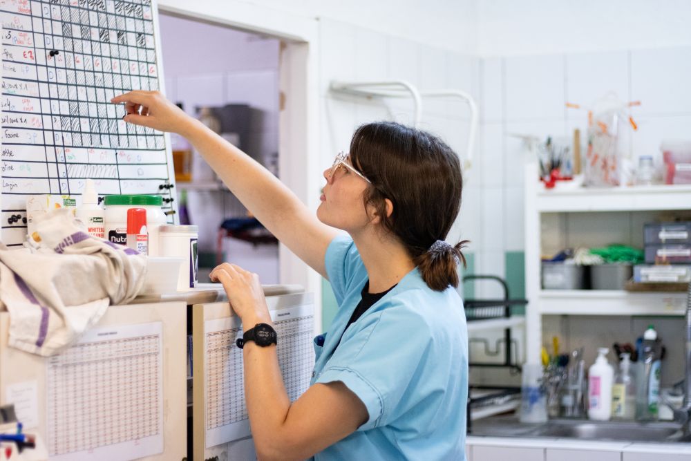 Suivi des nourrissages ©Anaïs Thomas