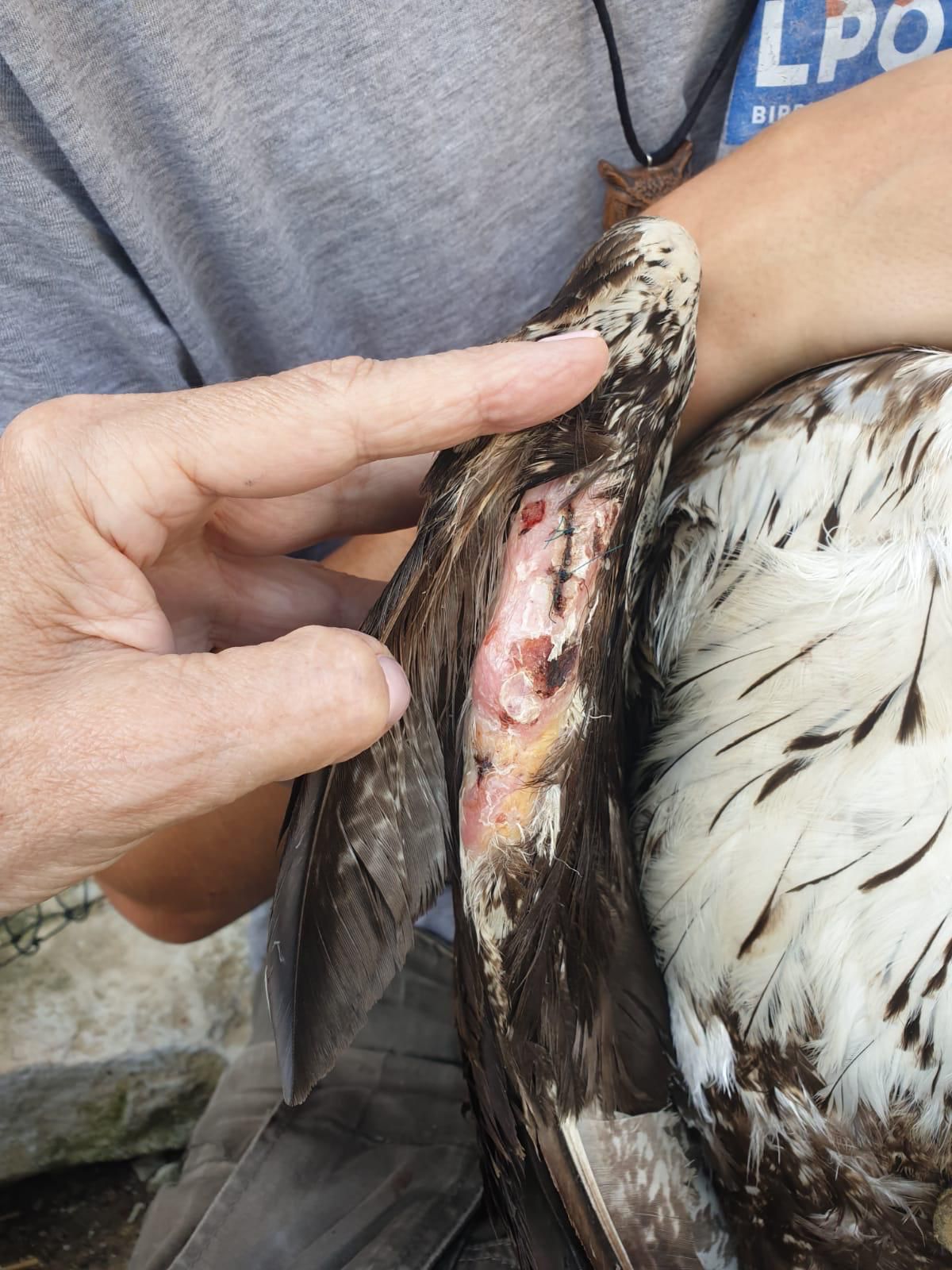 La plaie est enfin refermée ! ©Marie-Hélène Côté
