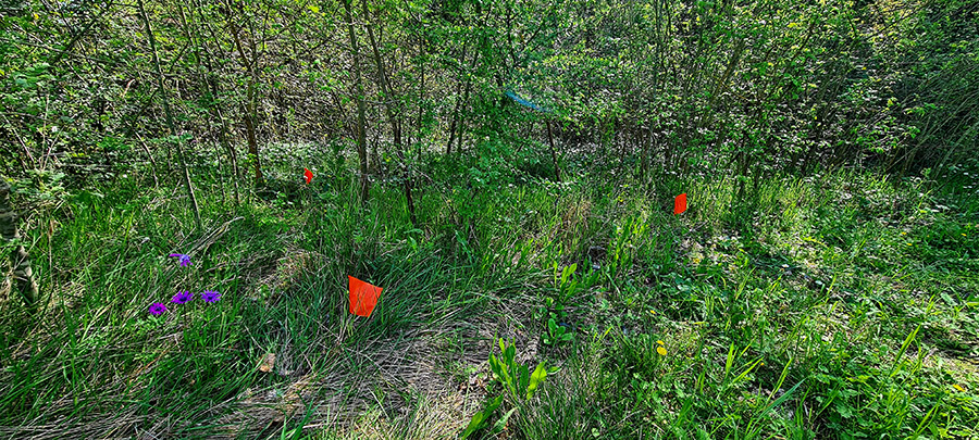 Quadrat (c) Marion Fouchard