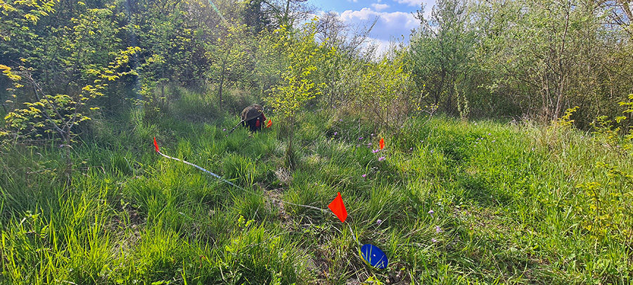 Quadrat (c) Marion Fouchard