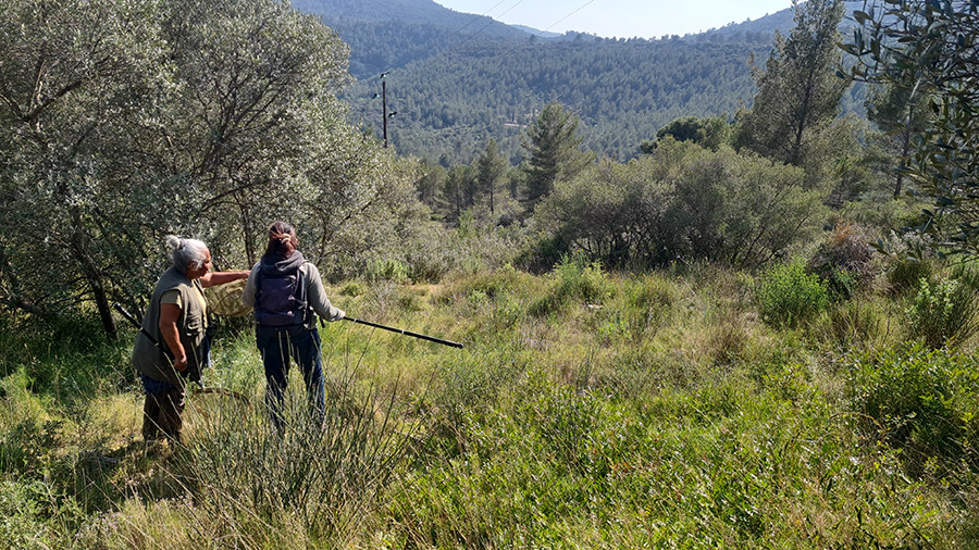 Inventaire (c) Marion fouchard