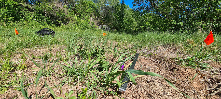 Quadrat (c) Marion Fouchard