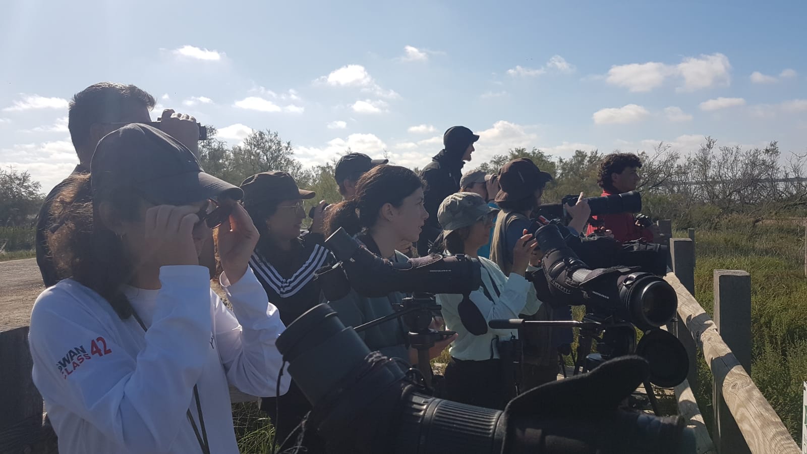 Les élèves studieux de l'École d'ornithologie © J. Lassansa