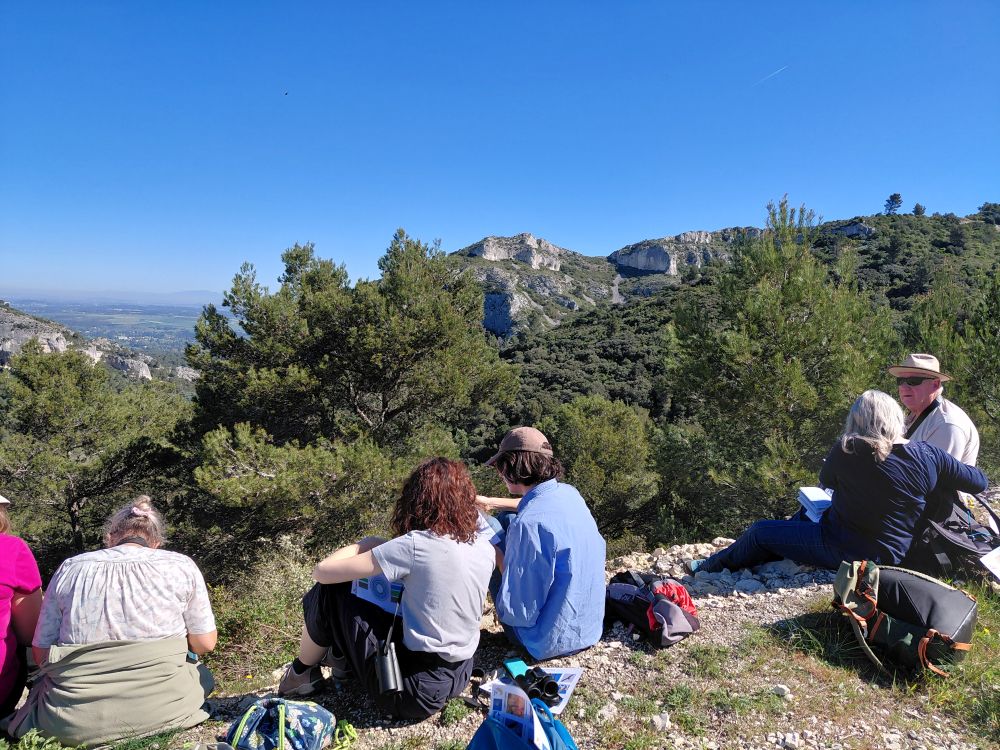 Atelier terrain phénologie des espèces © LPO PACA