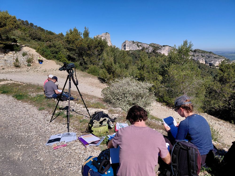 Atelier terrain phénologie des espèces © LPO PACA