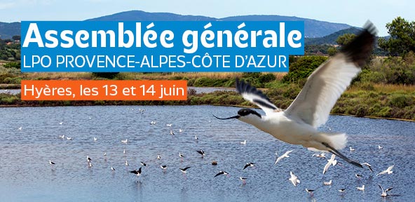 Assemblée générale 2026 de la LPO Provence-Alpes-Côte d'Azur (Photos André SIMON)