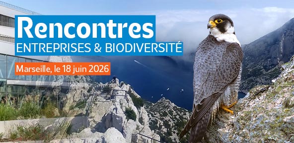 Rencontres entreprises et biodiversité 
