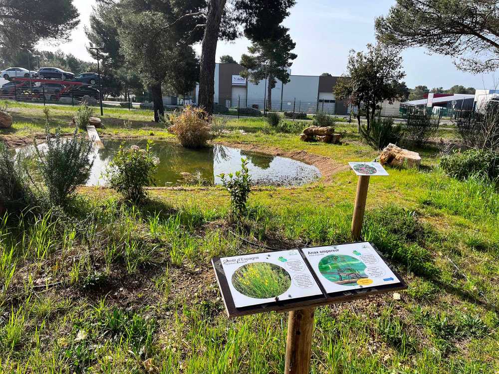 Site IPSEN - Signes 2026 © Stephanie GARRIDO (ARBE)