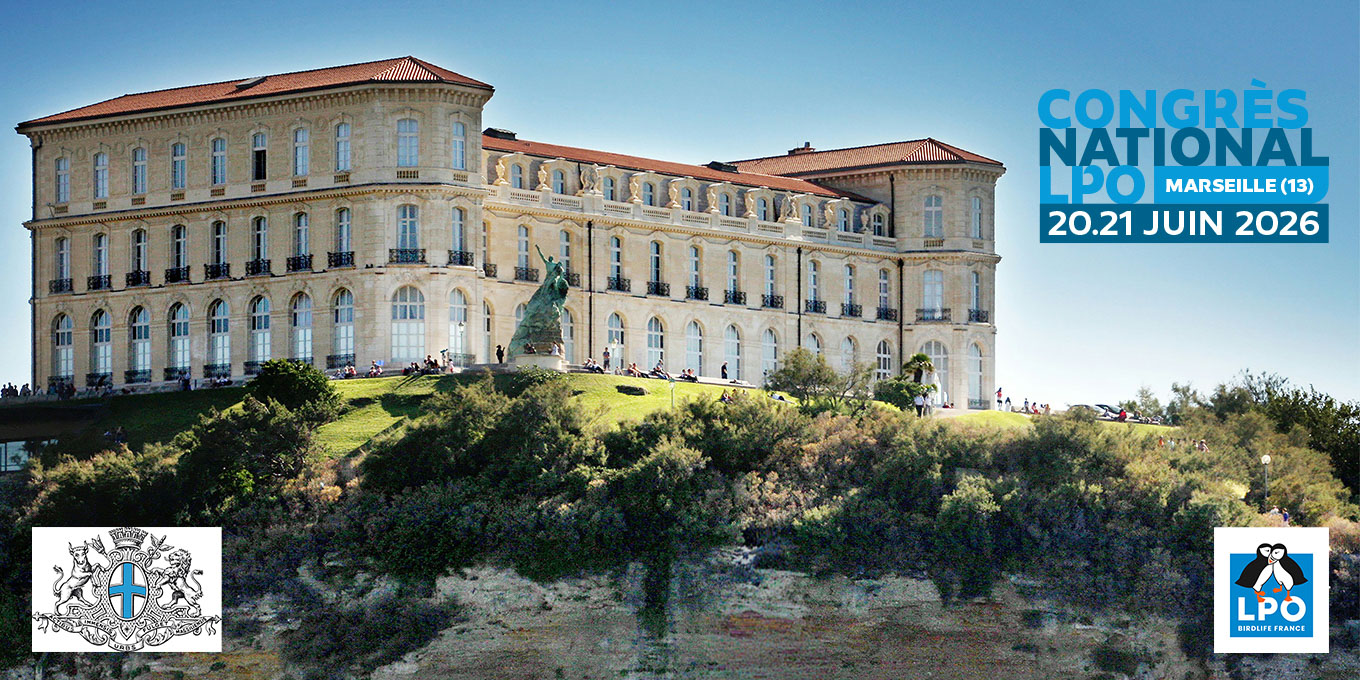 © Visuel LPO FRANCE