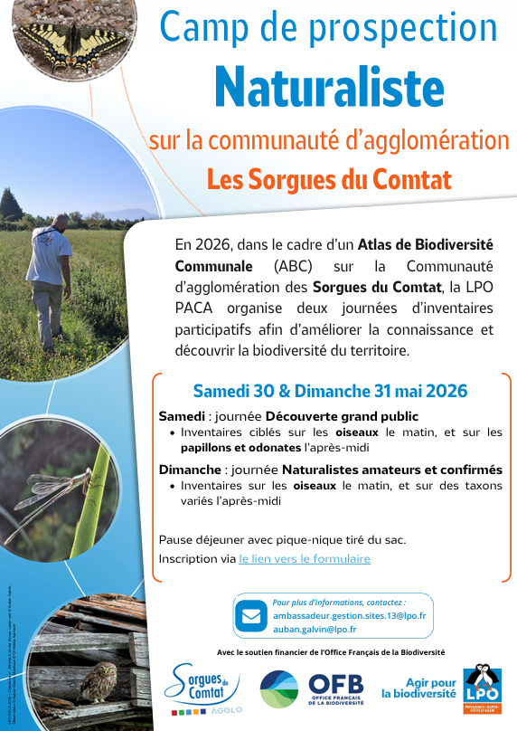 Affiche camp de prospection naturaliste dans la Communauté d'agglomération Les Sorgues du Comtat