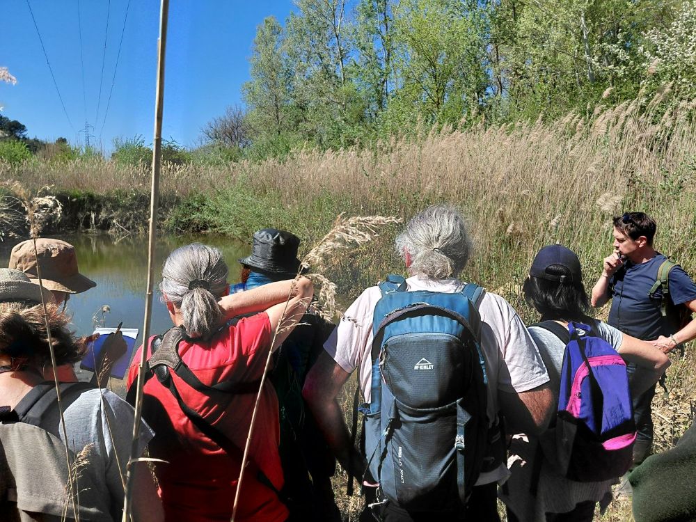 Formation amphibiens © LPO PACA