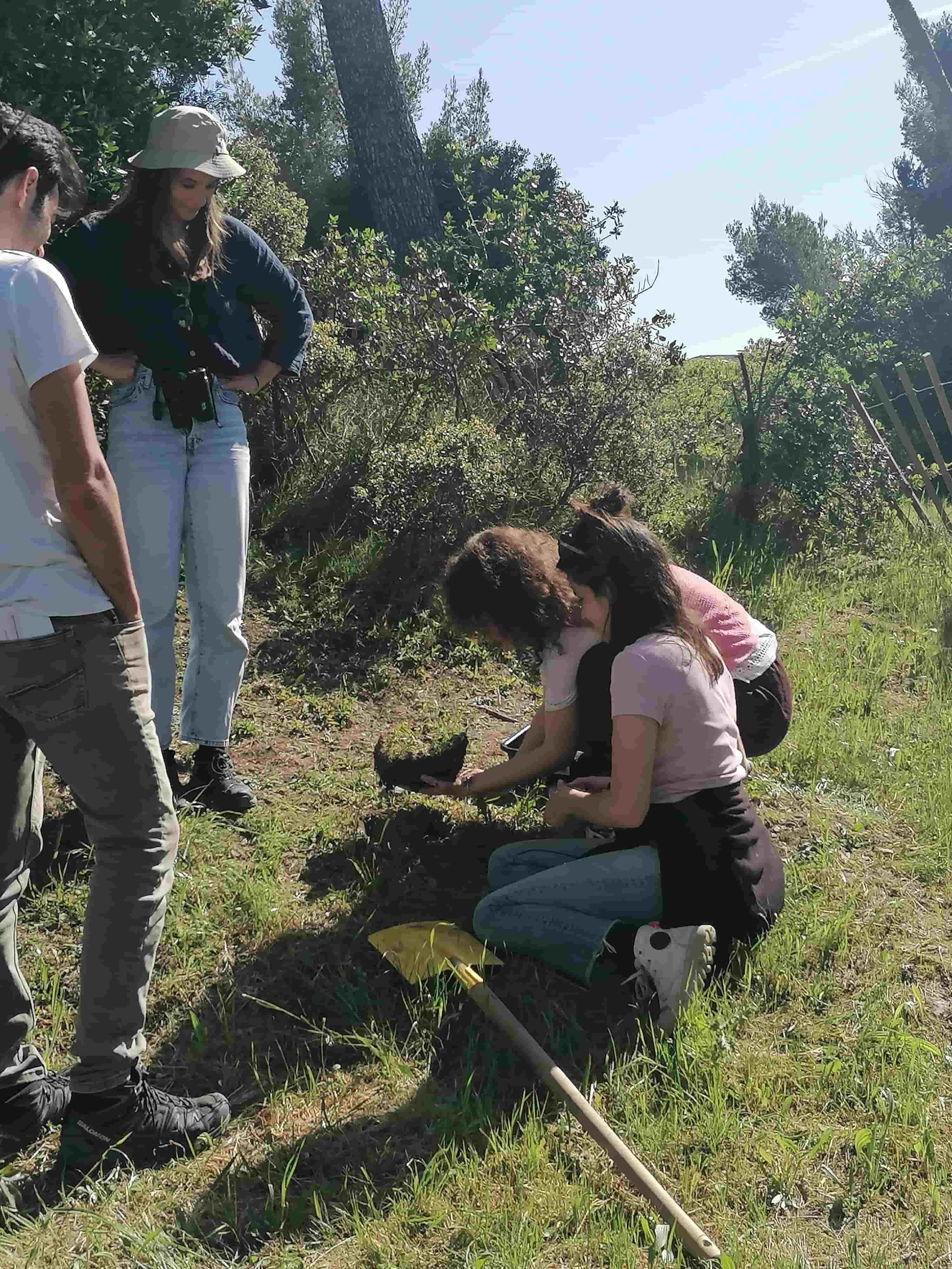 Sortie sur le terrain formation Recyclage urbain et sols vivants à Marseille © Rose Bergeron