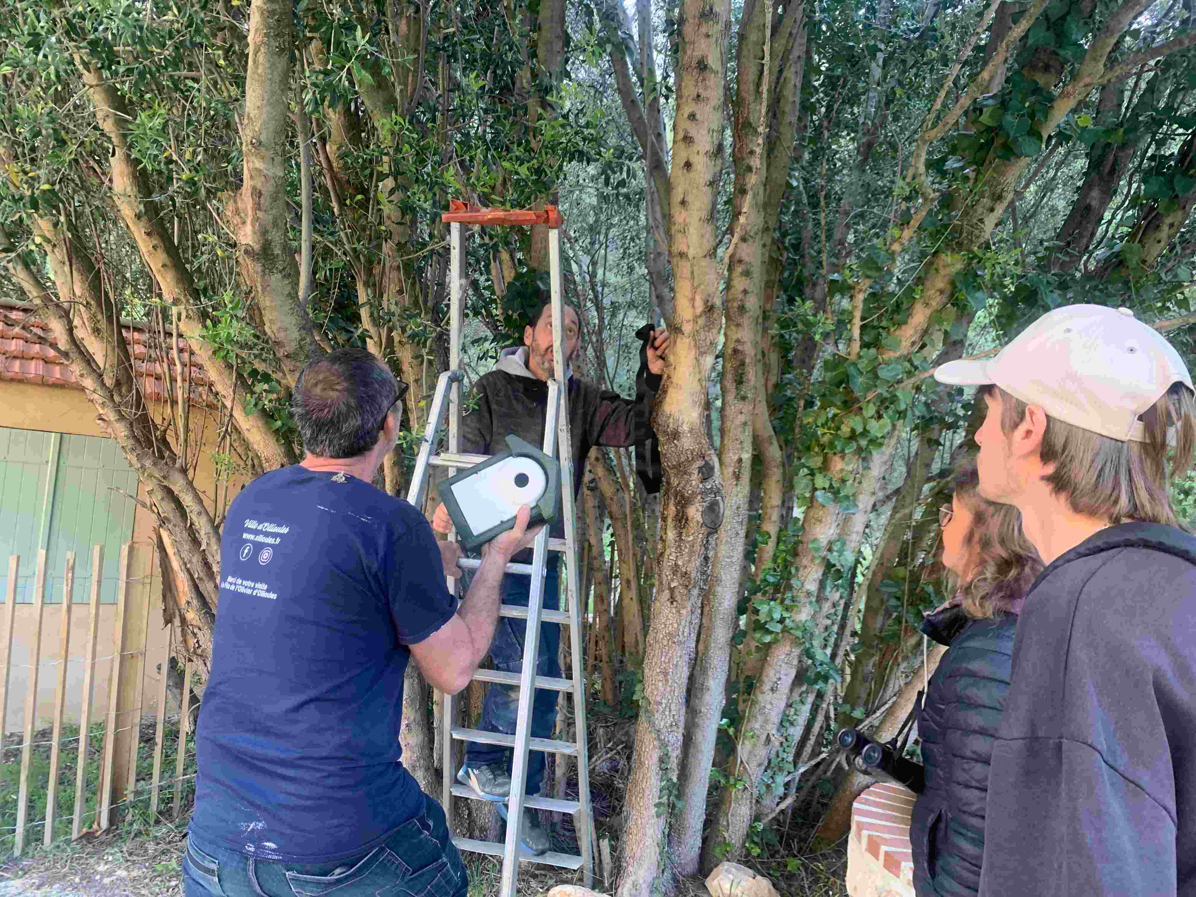 Installation d'un nichoir à mésange à Ollioules © LPO PACA