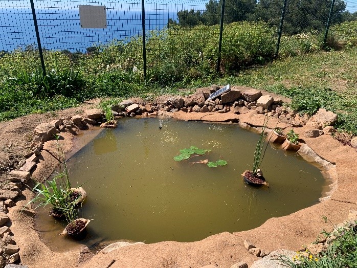 La mare du site du Sémaphore de Cap Camarat après © LPO PACA