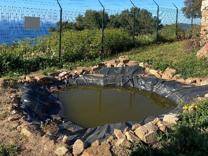 La mare du site du Sémaphore de Cap Camarat avant © LPO PACA