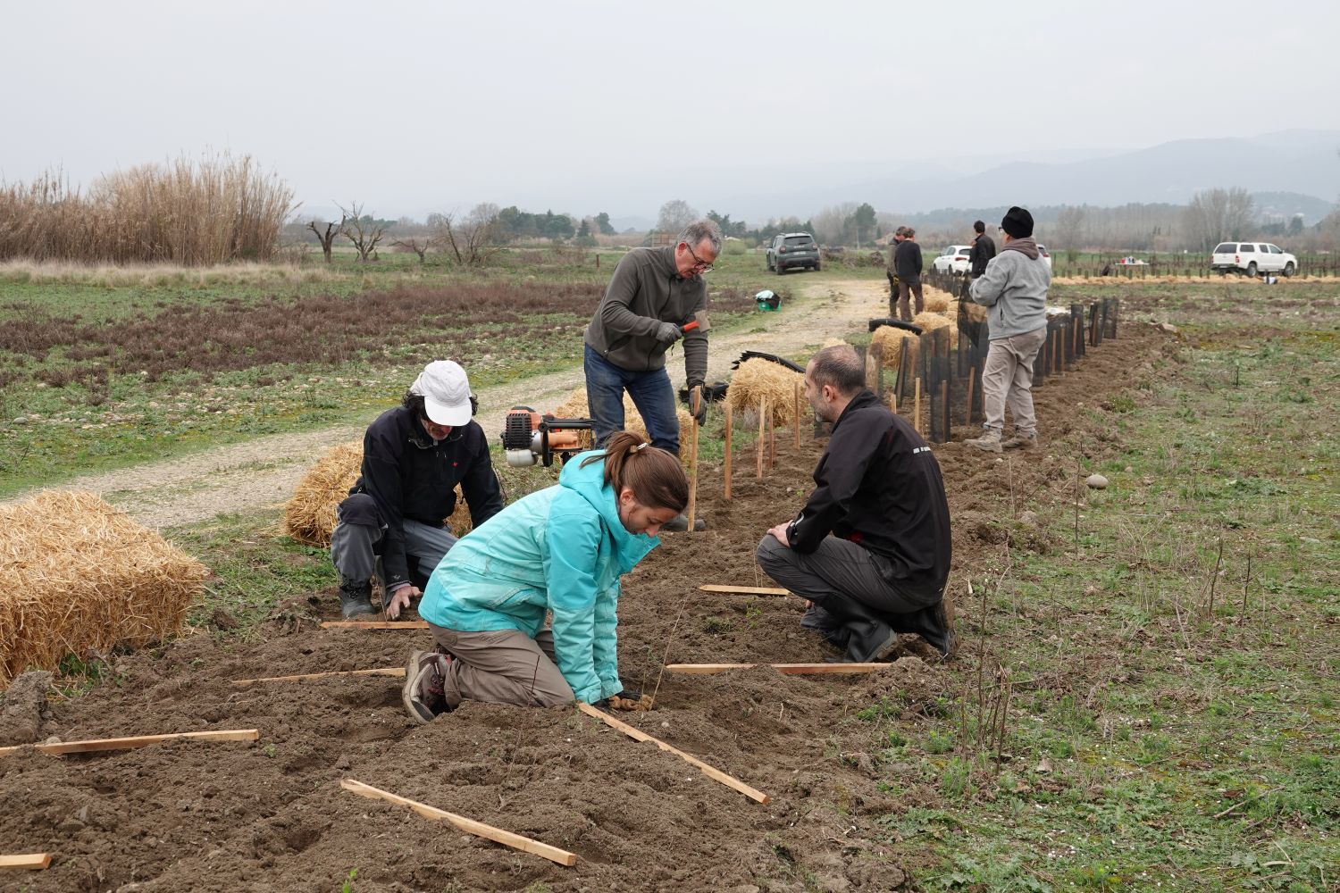 Plantation de haies à Cadenet © Anaëlle Francia