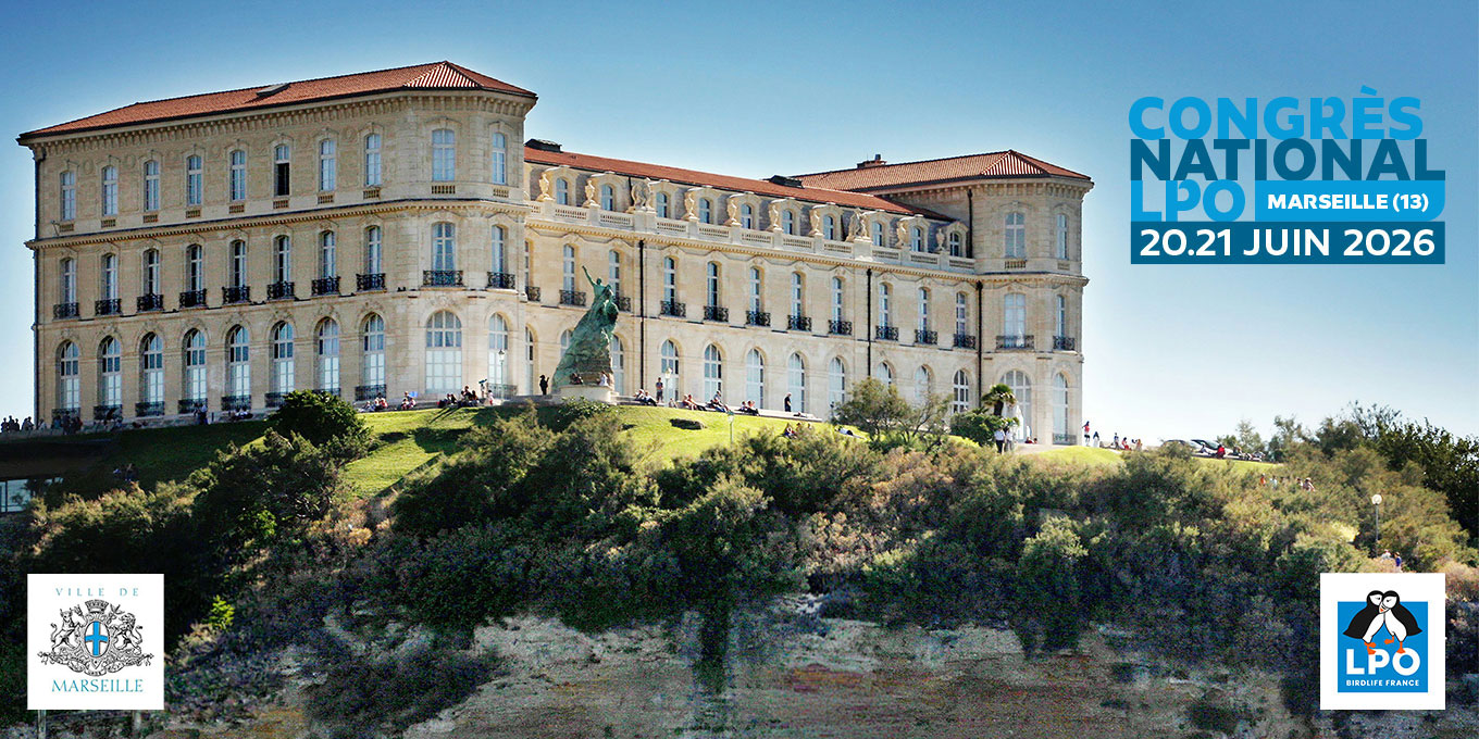 © Visuel LPO FRANCE © Visuel LPO FRANCE