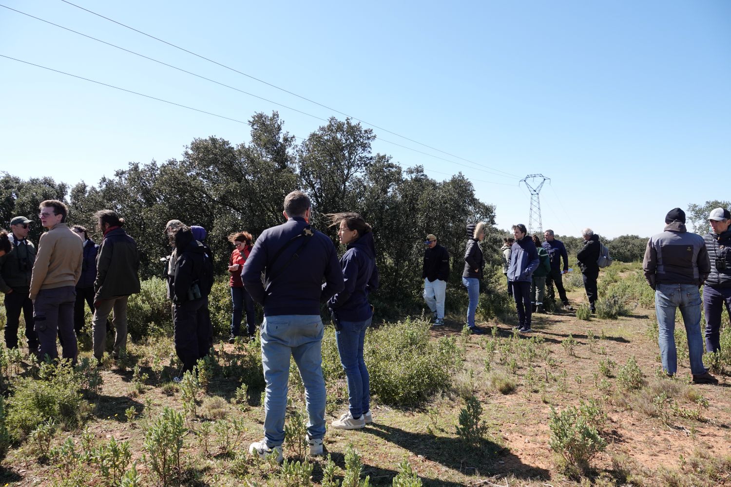 Sortie de terrain comité de pilotage PNA pies-grièches © Anaëlle Francia