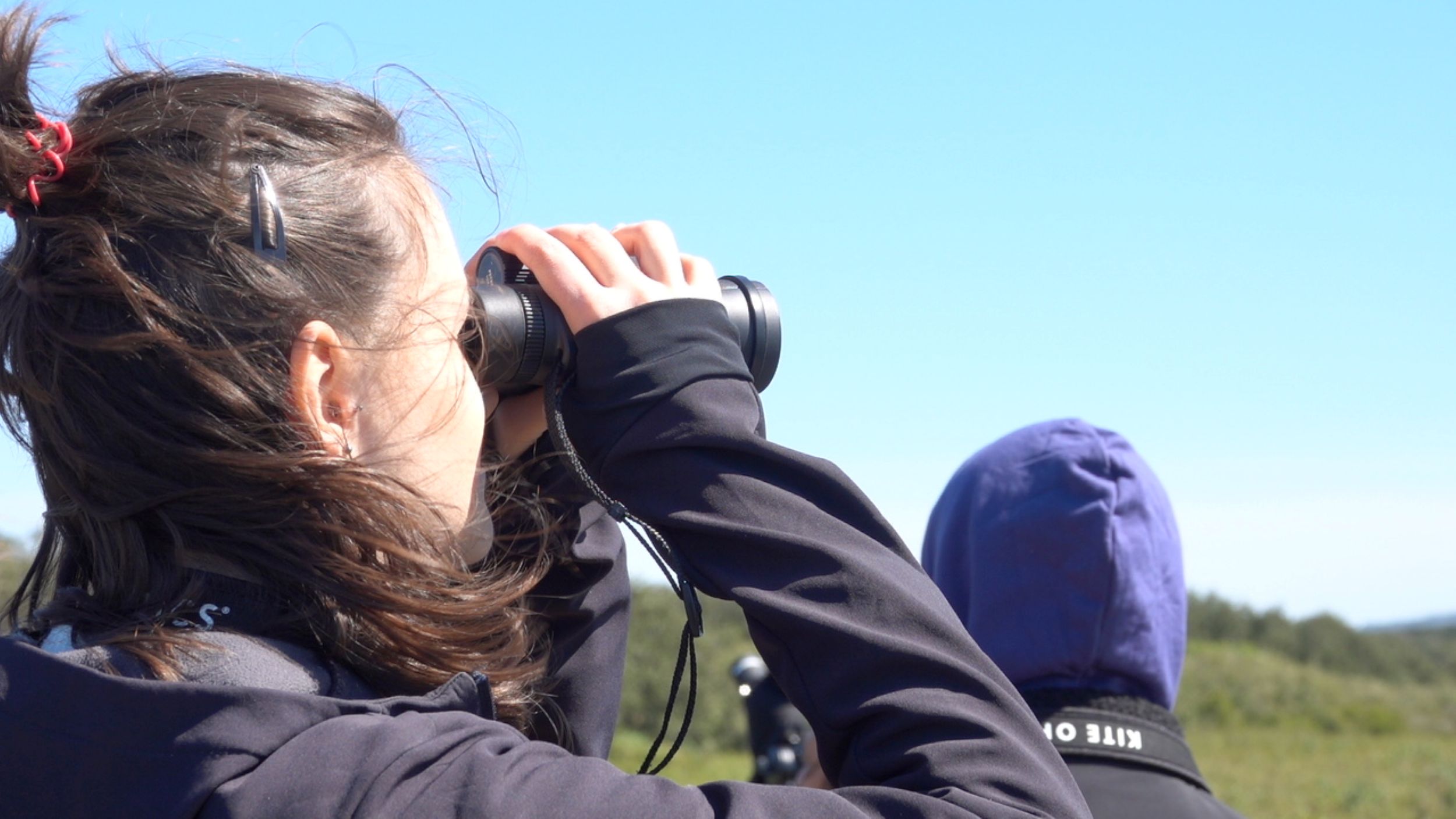 Sortie de terrain comité de pilotage PNA pies-grièches © Anaëlle Francia