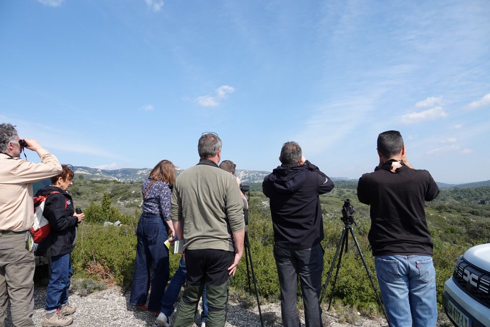 Sortie terrain Direction départementale des territoires de Vaucluse © Anaëlle Francia