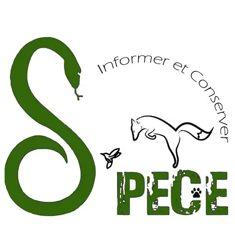 Logo Association S'PECE