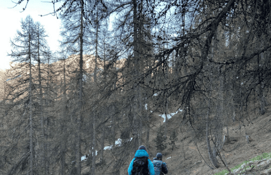 Protocole Petites Chouettes de Montagne @ Antoine Labasse
