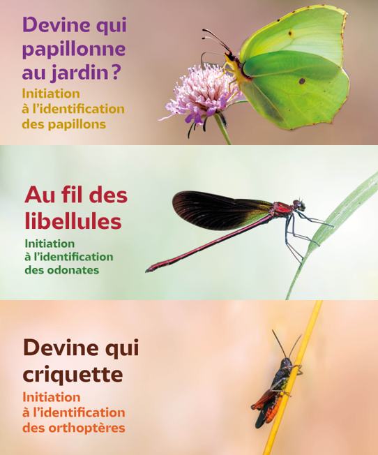 Enquêtes participatives
