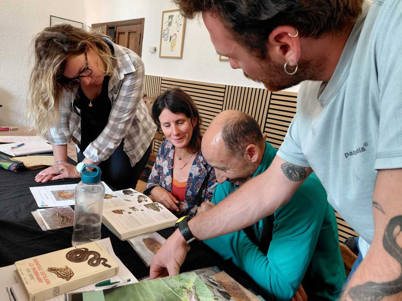 Exercice d'identification des amphibiens