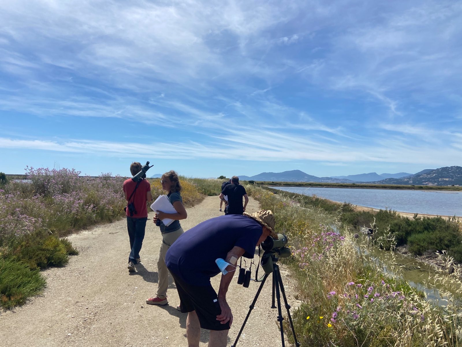 Observation des oiseaux à la longue vue