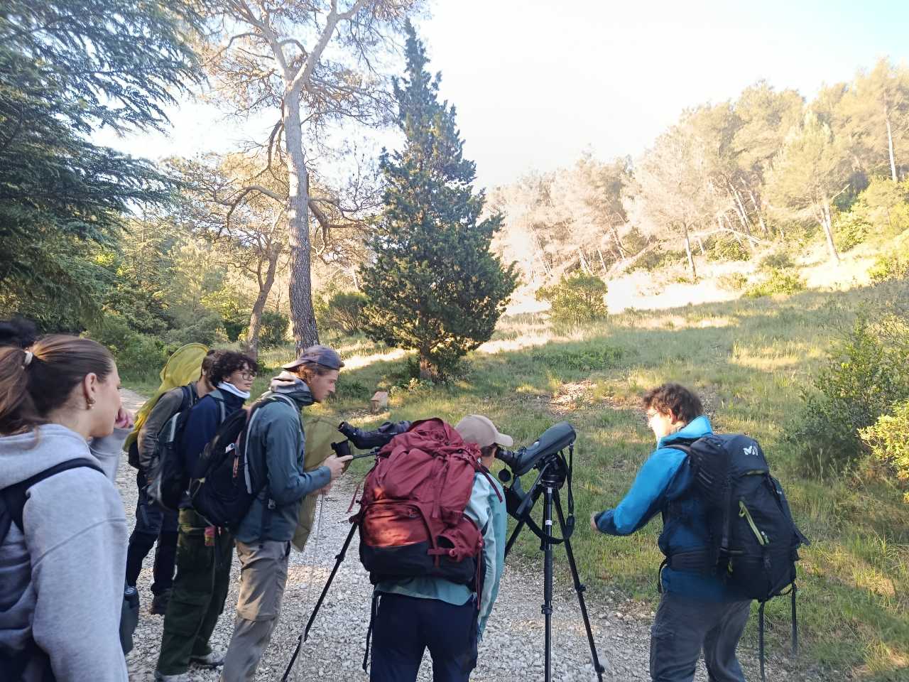 Observation à La Caume