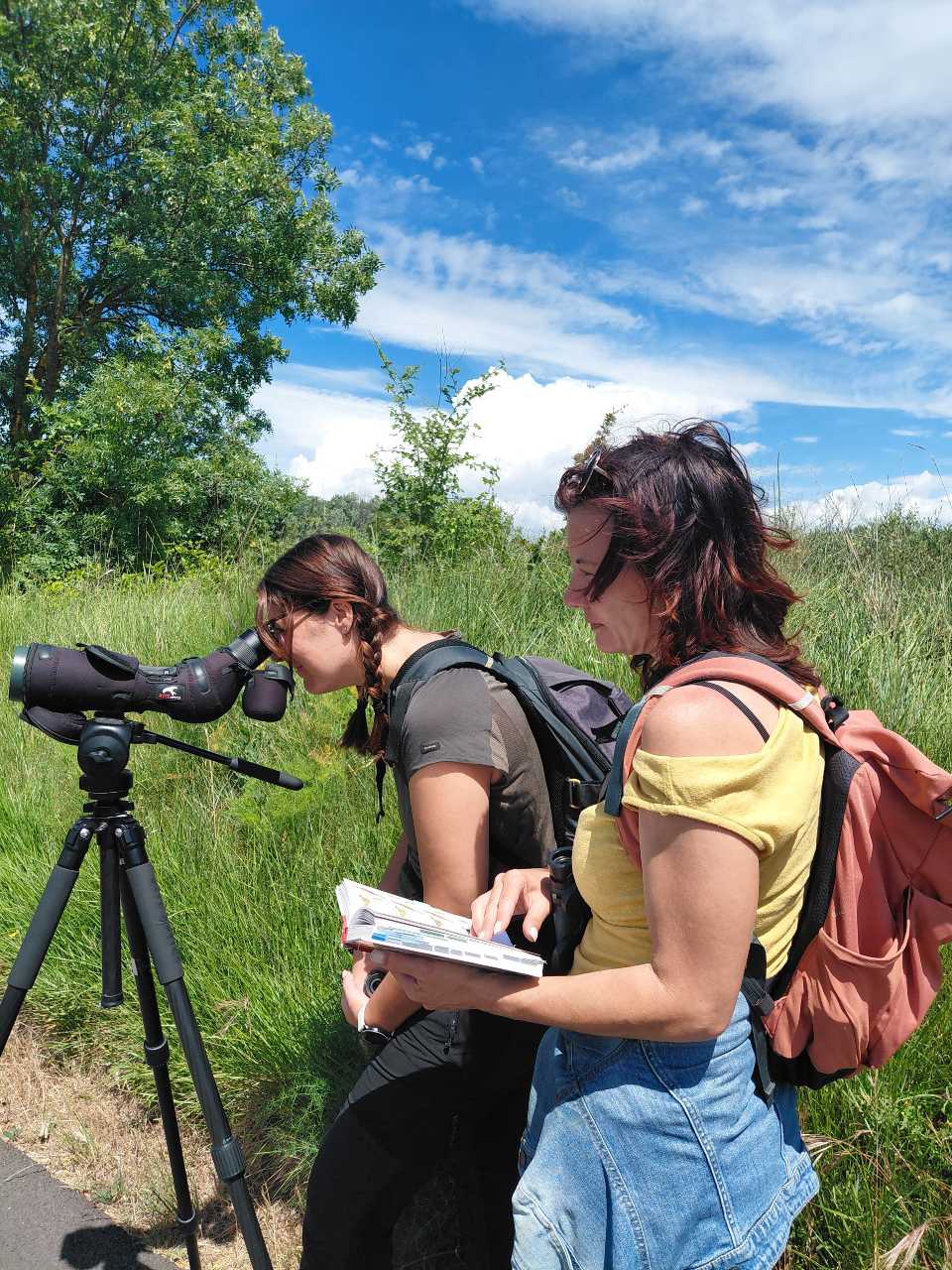 Observation sur le terrain