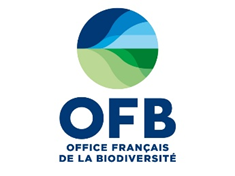 ofb.png