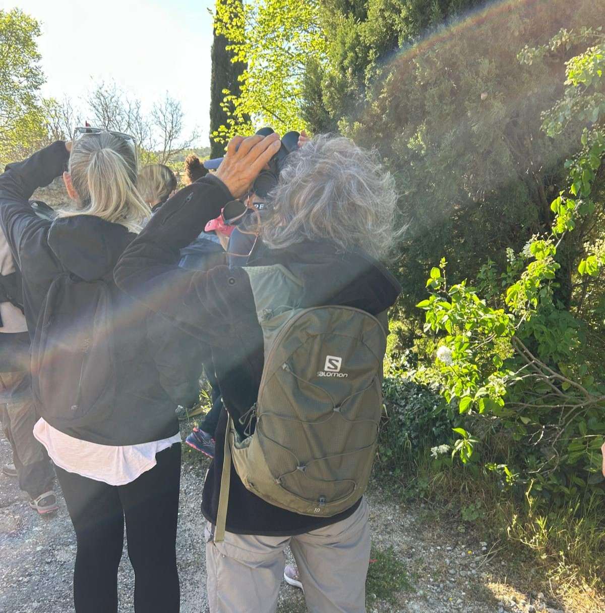Observation d'oiseau