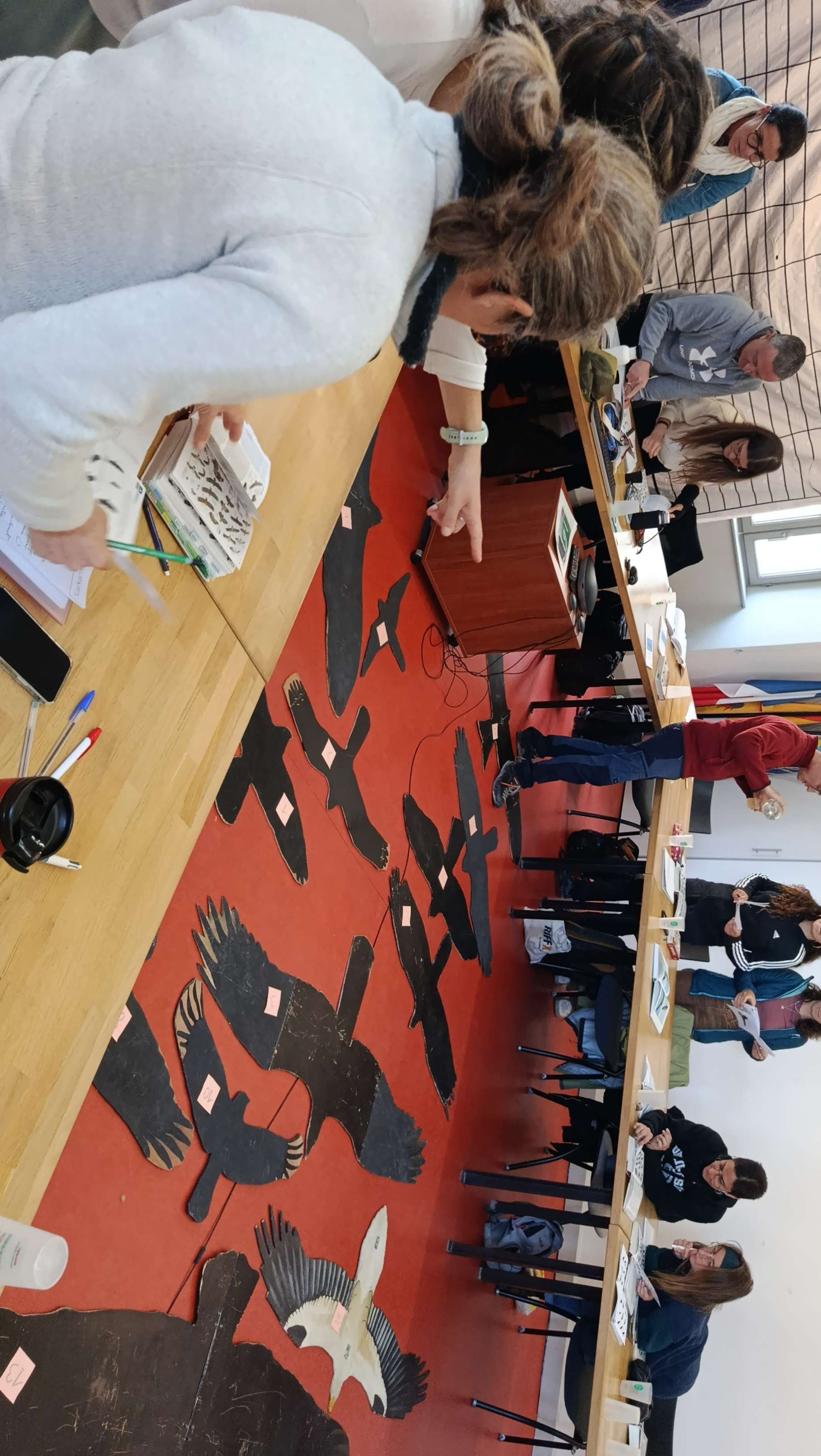 Formation sur les rapaces diurnes © LPO PACA