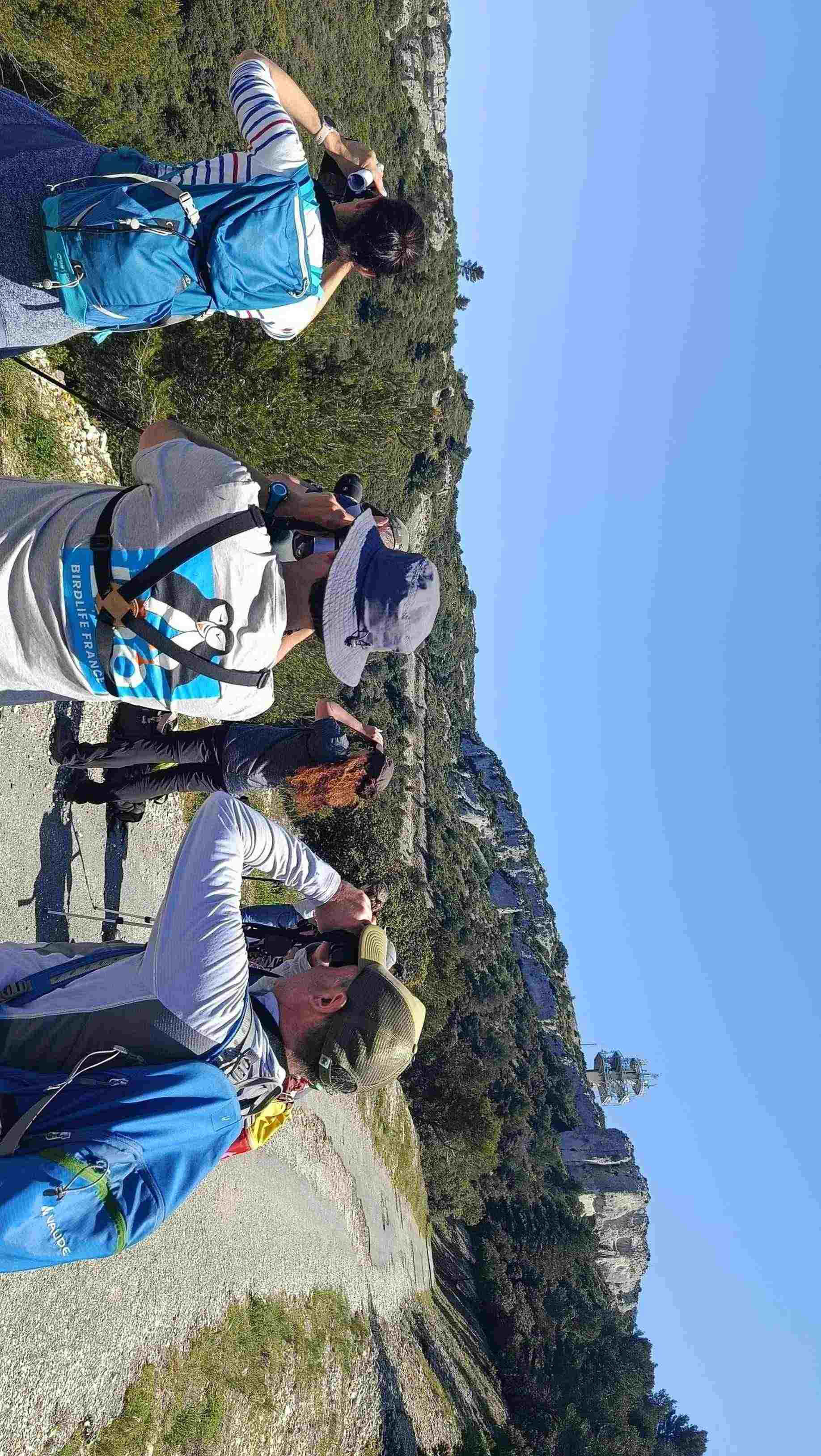 Formation sur les rapaces diurnes © LPO PACA