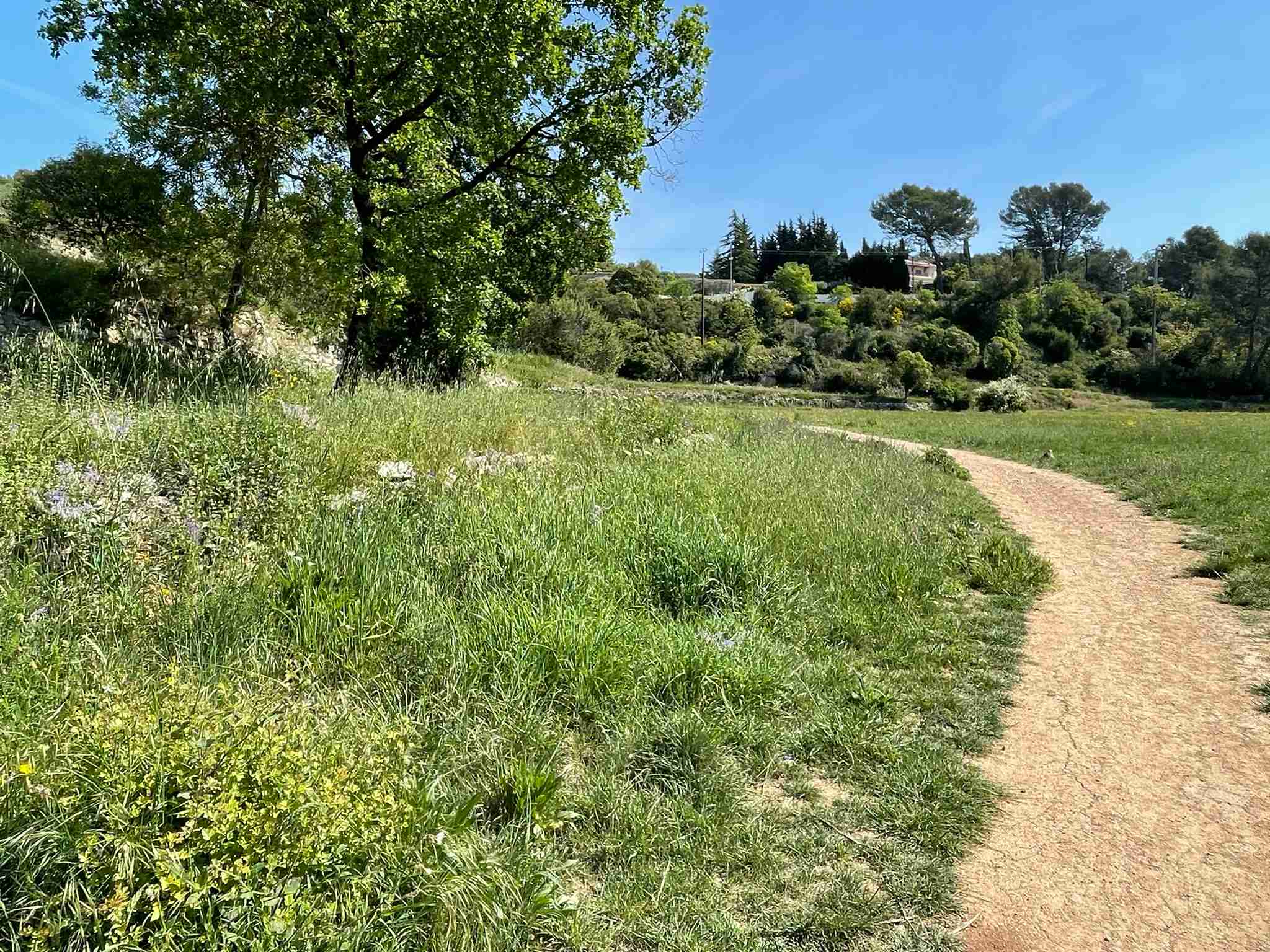 sainte brabe draguignan