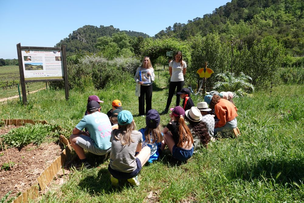 Stage jeunes naturalistes Escarelle © Anaëlle Francia