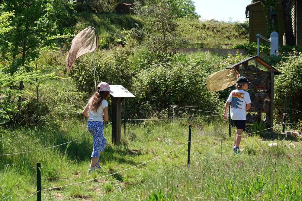 Stage jeunes naturalistes Escarelle © Anaëlle Francia