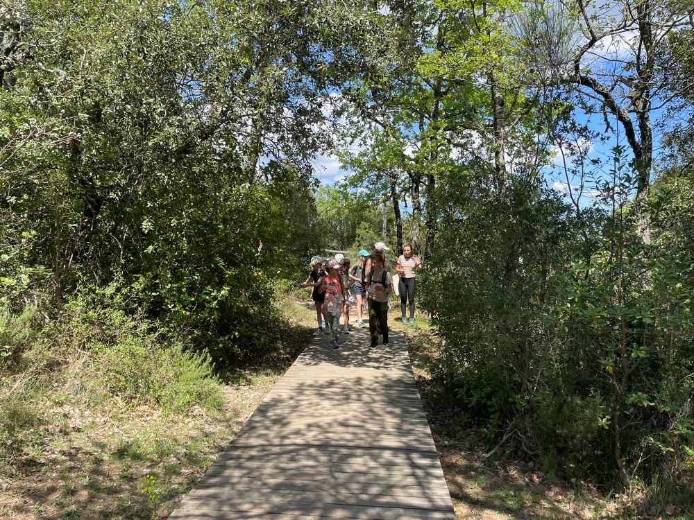 Stage jeunes naturalistes Escarelle © Charlotte Spingaux